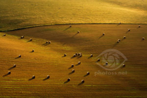 Late summer on South Downs. Commended in LPOTY 2010