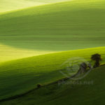 Early spring on South Downs. Commended in LPOTY 2011