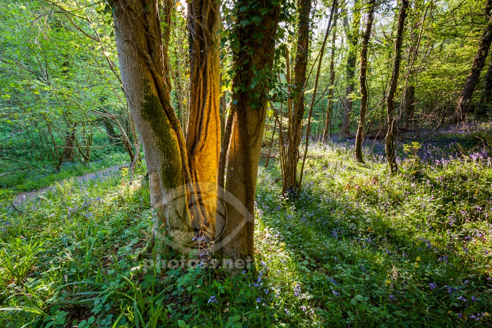 Reflected Light Magic. Slawek Staszcuzk Photography.