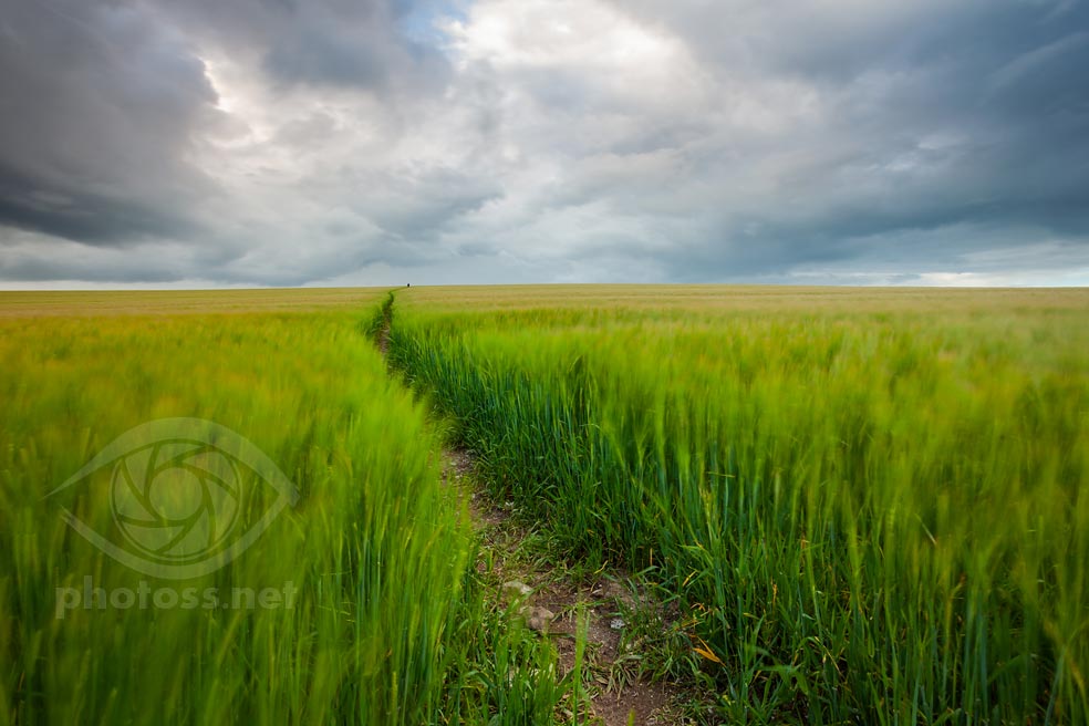 0.4 second 'short long exposure' of the South Downs in West Sussex