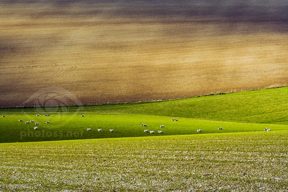 Telephoto landscape image of South Downs near Brighton