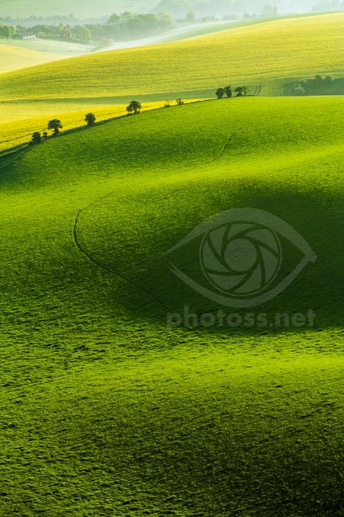 South Downs telephoto landscape. May 2008